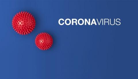 foto di giocattoli simili al coronavirus