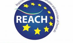 reach logo